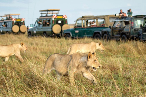 Kenia: 9-dniowe safari Masaai MaraKenia: 9-dniowe safari Masajów Mara