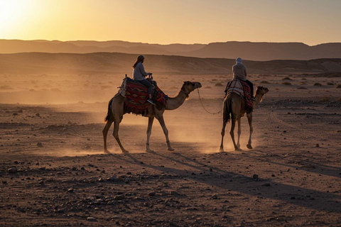 Marrakech: Agafay Wüste Quad &amp; Kamelreiten mit Dinner ShowMarrakesch: Quad- und Kamelritt in der Agafay-Wüste mit Dinner-Show