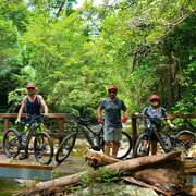 Airlie Beach: Half-Day Mountain Bike Tour in Rainforest