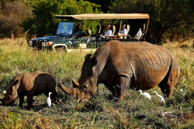 Lake Nakuru National Park Day Trip From Nairobi Lake Nakuru National Park From Nairobi