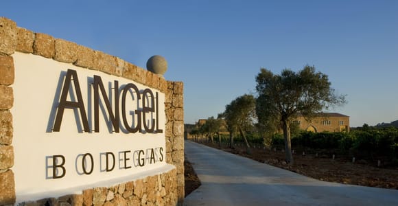 Mallorca: Weingut-Tour mit Weinprobe bei Bodegas Ángel
