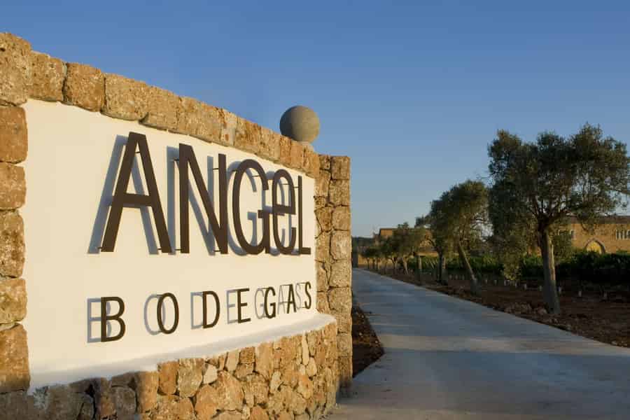 Mallorca: Weingut-Tour mit Weinprobe bei Bodegas Ángel. Foto: GetYourGuide
