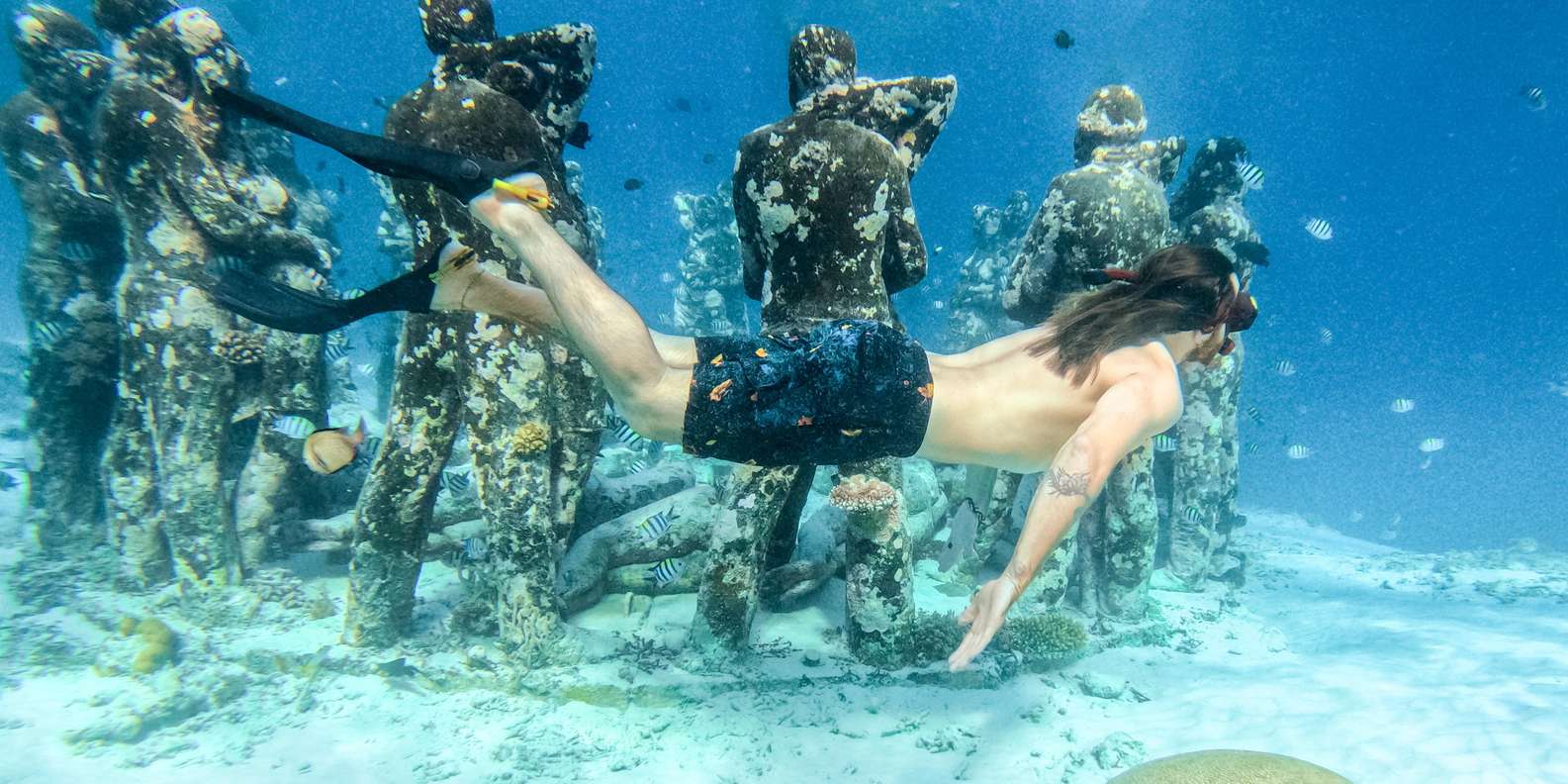 Bali snorkeling tour — underwater marine life and coral reefs — image 2