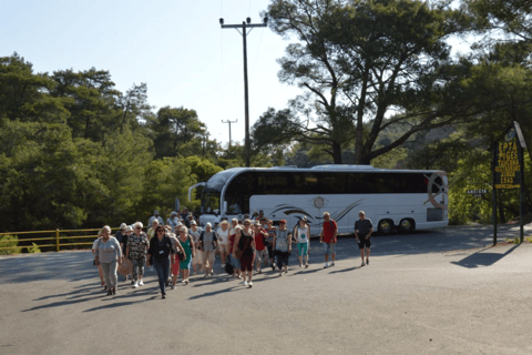 From Rhodes: Bus Tour to Lindos and the Seven Springs