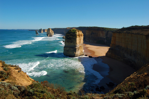 Desde Melbourne: Excursión guiada de un día a Great Ocean Road