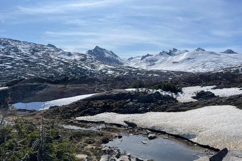 Skagway: Yukon Suspension Bridge & White Pass Scenic Tour