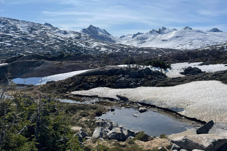 Skagway: Yukon Suspension Bridge & White Pass Scenic Tour