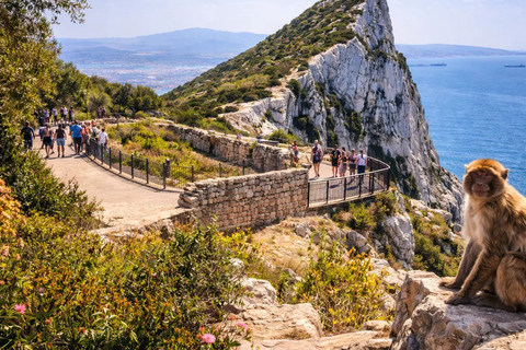 Gibraltar at your own pace with full assistance from Málaga Gibraltar Day Trip with full assistence from Málaga