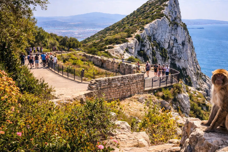 Gibraltar at your own pace with full assistance from Málaga Gibraltar Day Trip with full assistence from Málaga