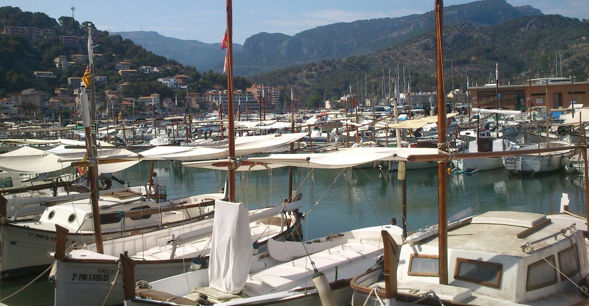 Serra de Tramuntana Half-Day Tour, Soller and Valldemosa - Housity