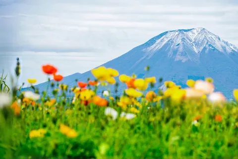 Tokio: excursión de un día a la quinta estación del monte Fuji y a un onsen | Especial de verano