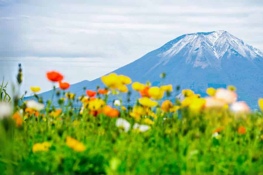 Tokio: Tagestour zur 5. Station des Fuji und zu Onsen | Sommer-Special. Foto: GetYourGuide