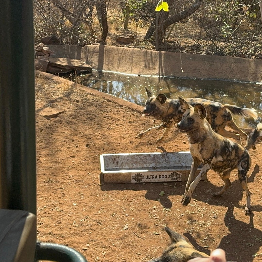 メディア コラージュ