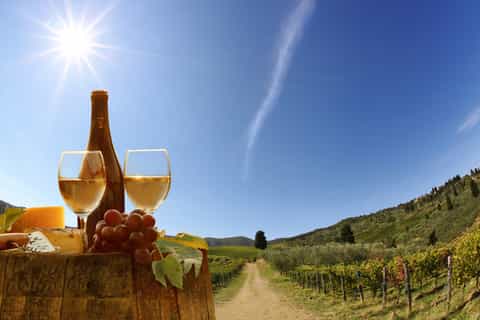 From Pisa or Lucca: Half-Day Tuscany Chianti Wine Tasting