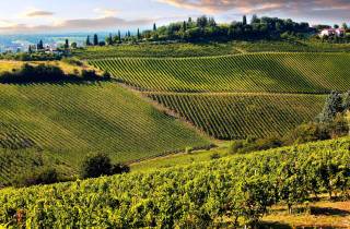 Ab Pisa oder Lucca: Chianti-Weinprobe in der Toskana