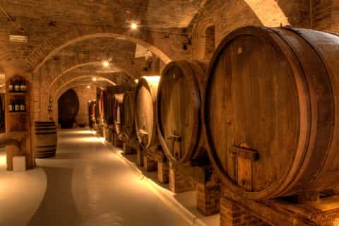 Half-Day Tuscan Hills Wine Tasting From Pisa or Lucca