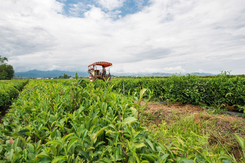 Longevity Secrets of Azerbaijan: Lankaran & Astara tour Private tour