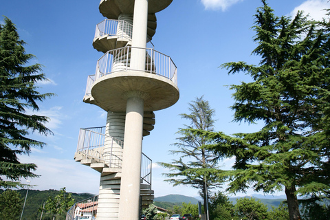 Ljubljana: Karst and Goriška Brda Tour with Lunch & Tastings
