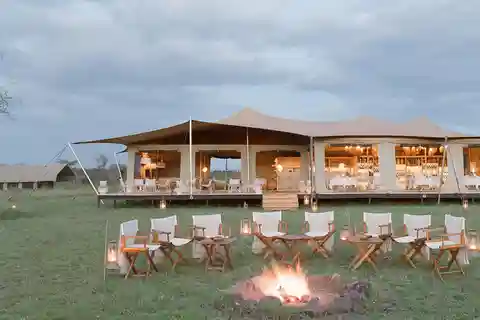 Best 7-Day Tanzania Safari With Africa Finest Adventures