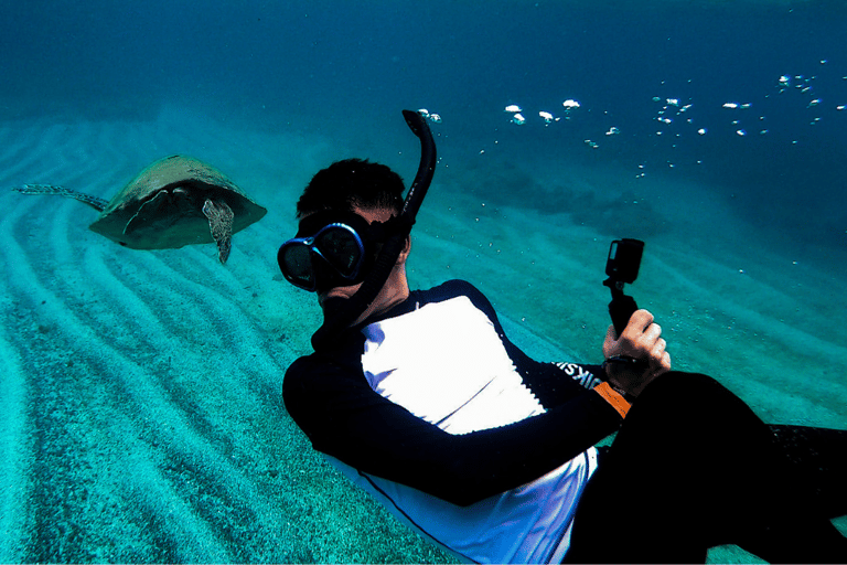 Depuis Santa Catalina : Excursion en bateau dans le parc national de Coiba