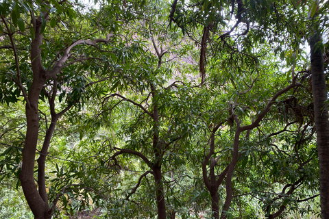 Recorre la Ciudad Vieja/Descubre la CIUDAD VIEJA