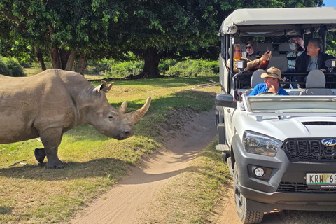 Half-Day Schotia Game Reserve (Open 4x4 Vehicle)