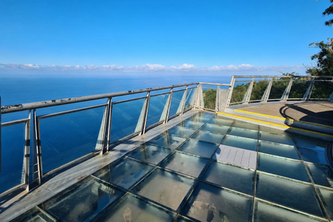 Ribeira Brava: West Madeira Tour with Fanal Forest & Pools