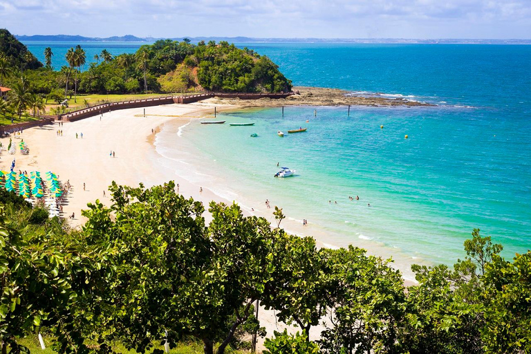 Salvador : Ilha dos Frades - Excursion en bateau privé avec transfert