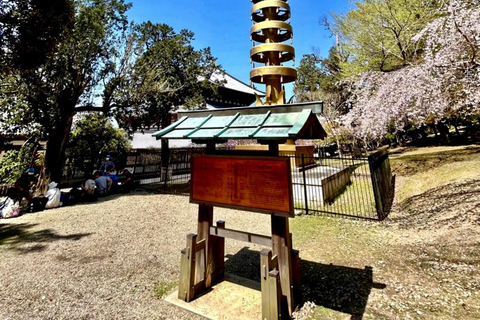 Nara Hidden Gems: Deer, Tsubosaka-dera, Kasuga & Naramachi