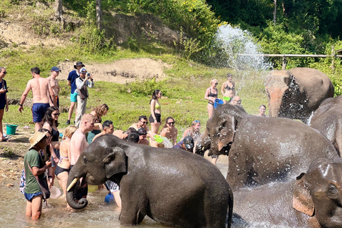 Chiang Mai : Sanctuaire d'éléphants éthiques et aventure en VTT2 heures de VTT et visite du sanctuaire avec déjeuner et transfert