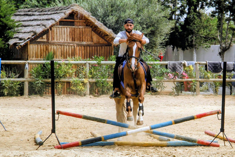 Hammamet equitation : Balade à cheval le long de la plage