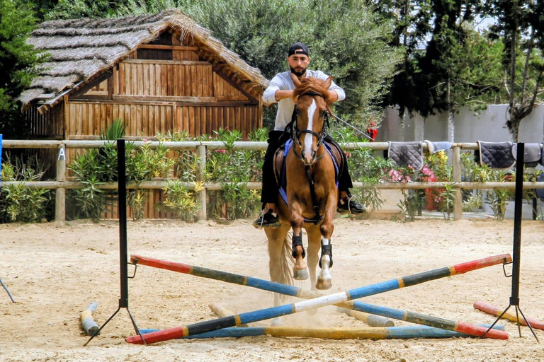 Hammamet equitation : Balade à cheval le long de la plage