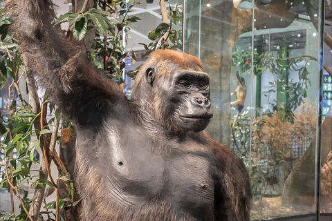 Houston: biglietto d&#039;ingresso generale per il Museo di scienze naturali