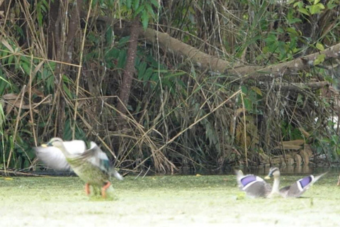 From Ho Chi Minh City: 3-Day Mekong Delta Tour and Cai Rang