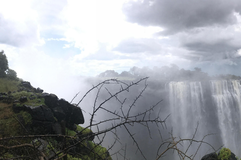 Cataratas Vitória: Tour guiado pelas Cataratas