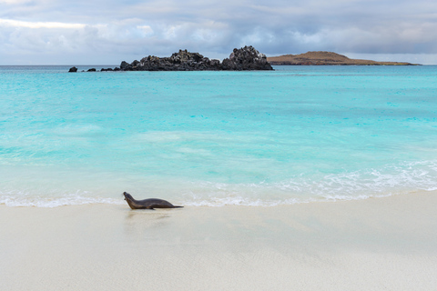 San Cristobal: 360 Island Tour with Snorkeling