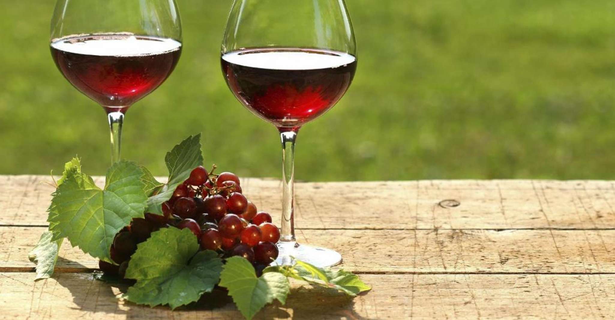 Mendoza, Weinstraßen Halbtagestour mit regionalem Mittagessen - Hizvo