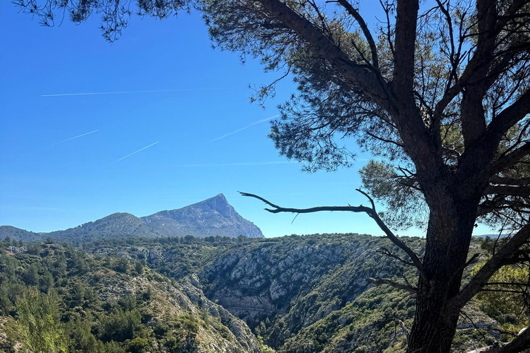 Aix-en-Provence: Hiking near Bimont Dam with Cinematic Reel