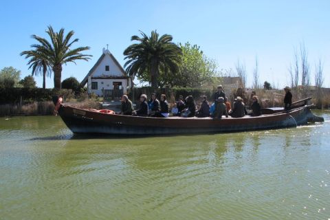 Da Valencia: Parco dell'Albufera in bus e barca con pranzo