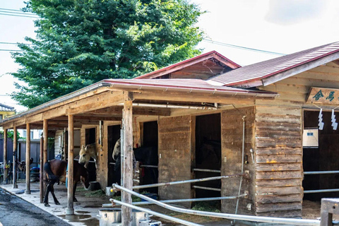 Mt Fuji Photography & Pilgrimage One-Day Tour From Tokyo Departure From Tokyo Station