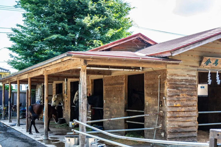 Mt Fuji Photography & Pilgrimage One-Day Tour From Tokyo Departure From Tokyo Station