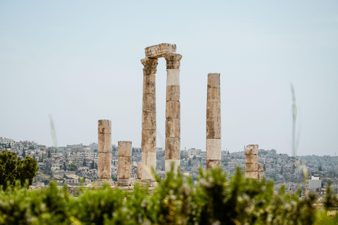 Amman: Guided Walking Tour with Cooking Class & Food Tasting