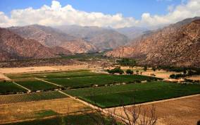From Salta: Full-Day Wine and Valley Tour to Cafayate