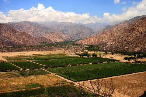 From Salta: Full-Day Wine and Valley Tour to Cafayate