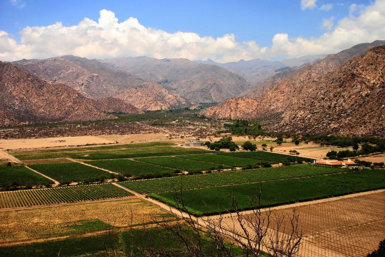 Da Salta: Tour di un giorno a Cafayate con vino e valle