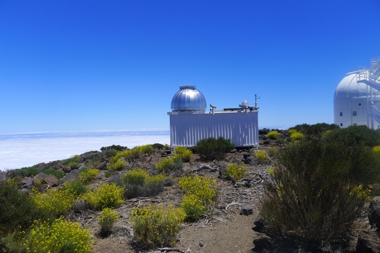 Tenerife: Mount Teide Observatory Guided Tour Mount Teide Observatory Tour in German