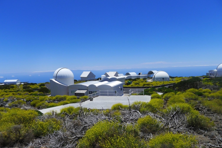 Tenerife: Mount Teide Observatory Guided Tour Mount Teide Observatory Tour in Spanish