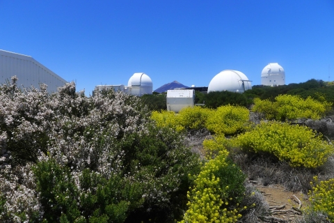 Teneriffa: Führung im Teide-ObservatoriumTeide-Observatorium: Tour auf Französisch