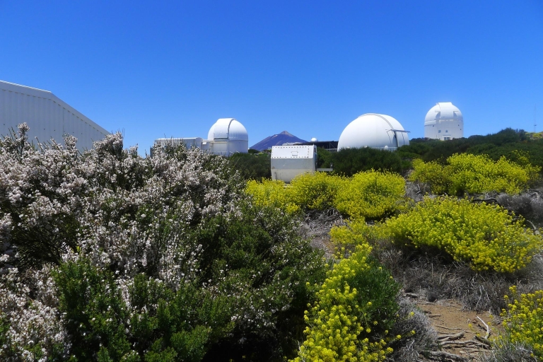 Teneryfa: wycieczka z przewodnikiem do obserwatorium TeideObserwatorium na Teide – wycieczka w języku angielskim