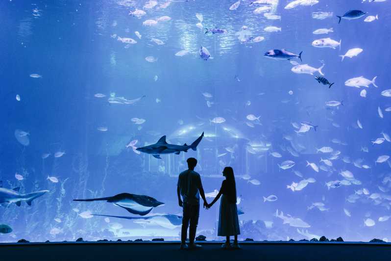 Gran Canaria: Ticket ohne Anstehen für das Aquarium Poema del Mar